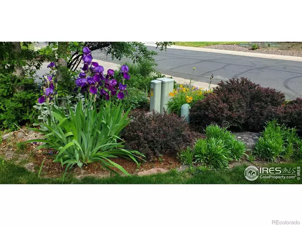 Louisville, CO 80027,538 W Spruce WAY