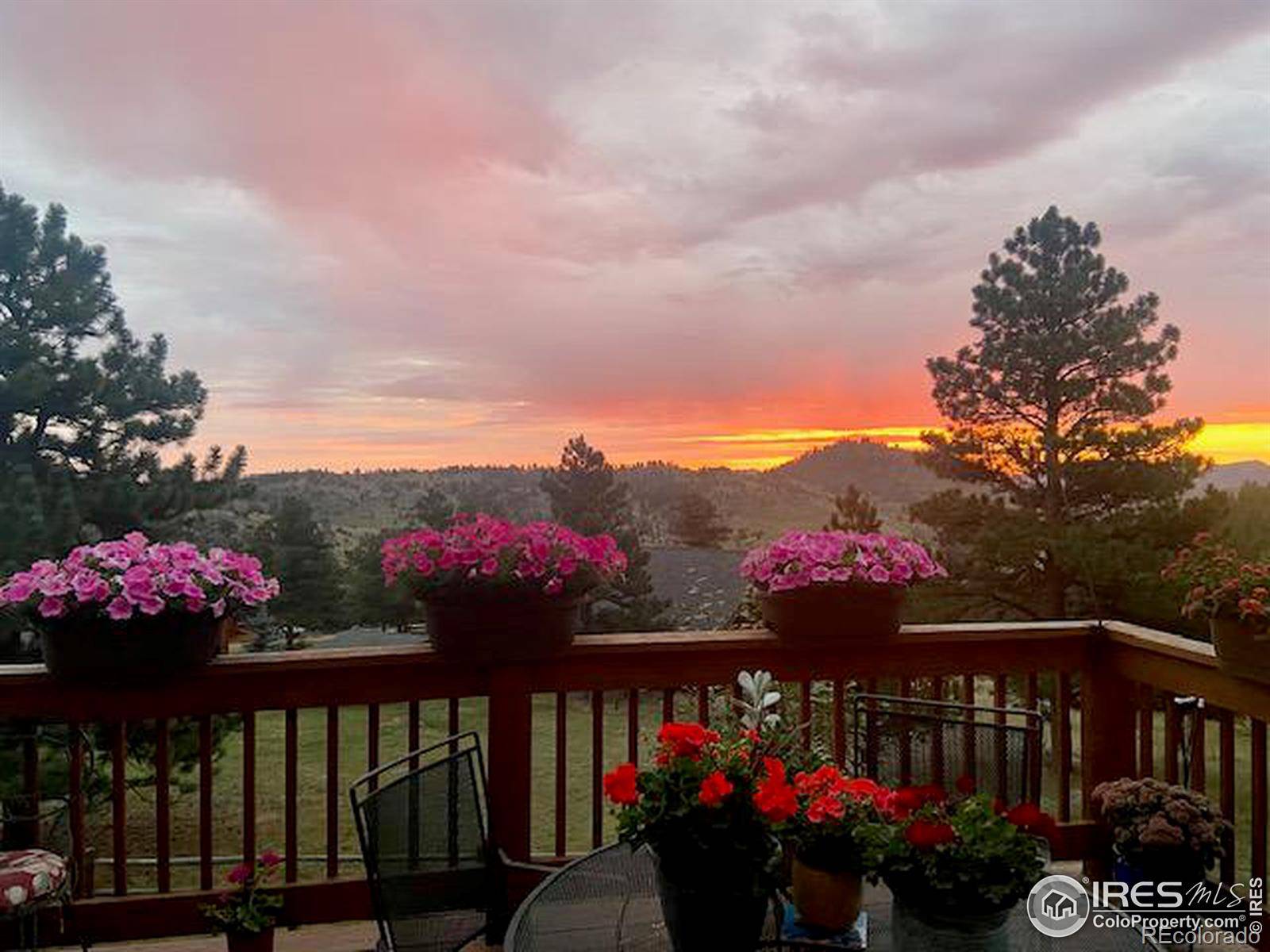 Livermore, CO 80536,656 Mount Harvard RD