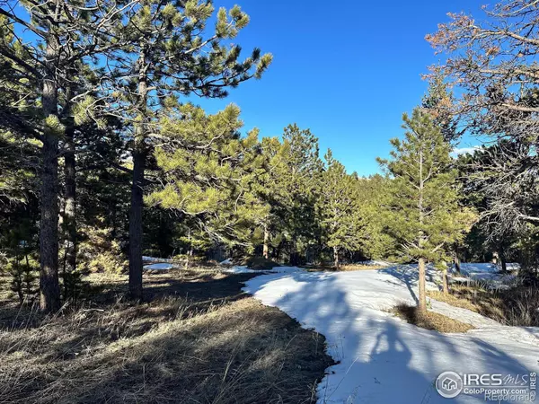 Boulder, CO 80302,61 Rim RD