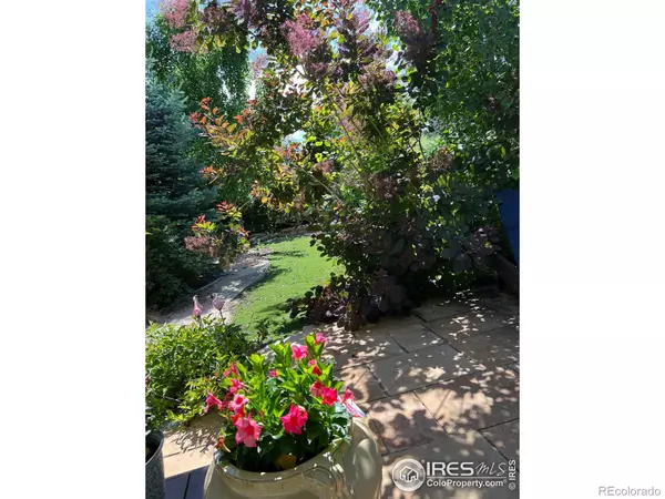 Loveland, CO 80538,2415 Bluestem Willow DR