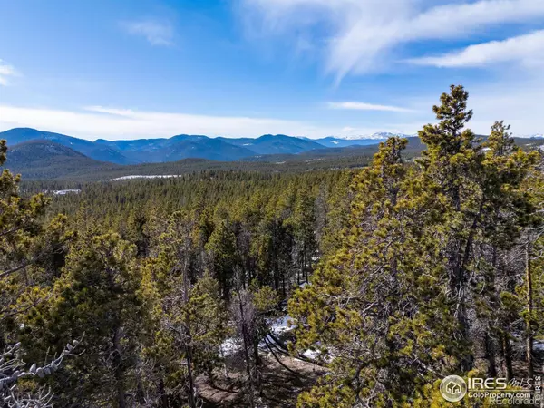 33768 Lyttle Dowdle DR, Golden, CO 80403