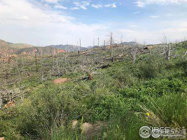 Livermore, CO 80536,Meadow Mountain DR