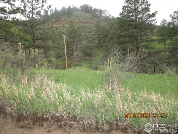 Loveland, CO 80537,TBD Bartram Park RD