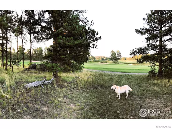 Red Feather Lakes, CO 80545,2 Fox Meadow LN #2