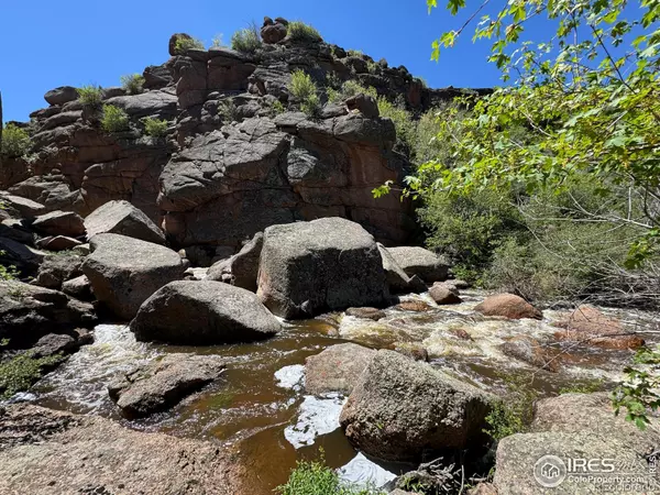 Red Feather Lakes, CO 80545,500 Bridge RD