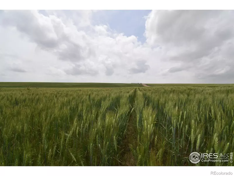 County Road 57, Yuma, CO 80759