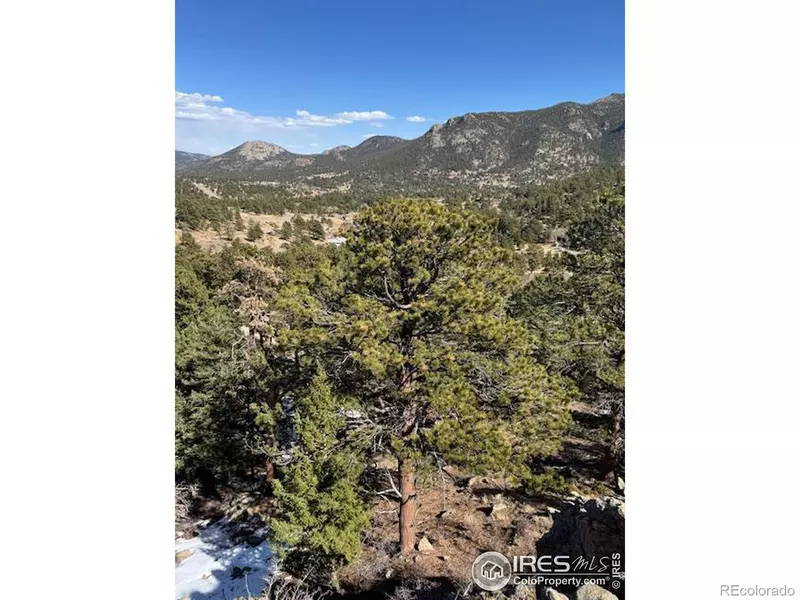 345 Green Pine CT, Estes Park, CO 80517