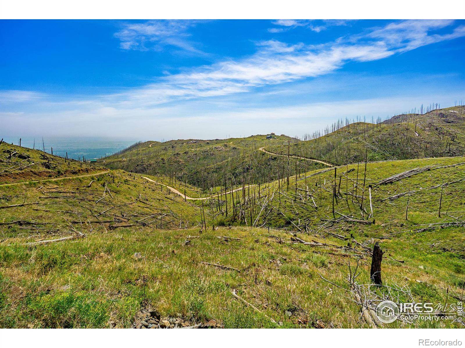 Bellvue, CO 80512,1600 Whale Rock RD