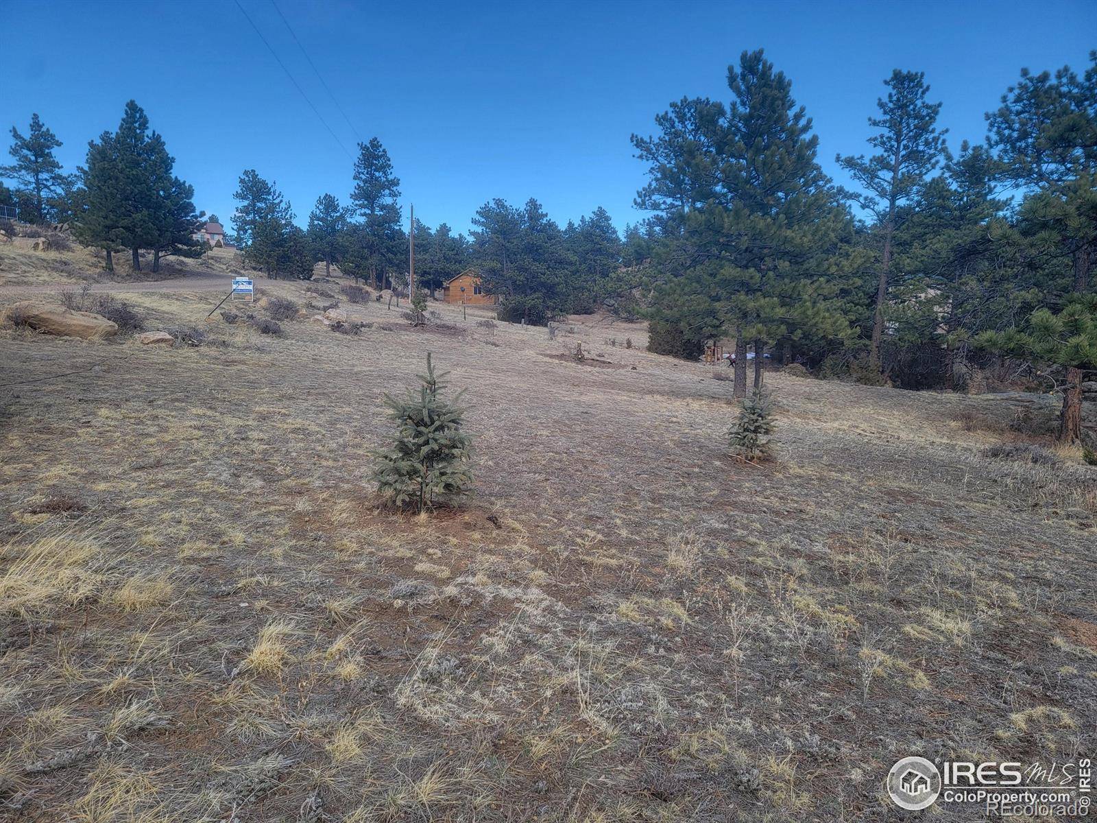Livermore, CO 80536,4092 Green Mountain DR