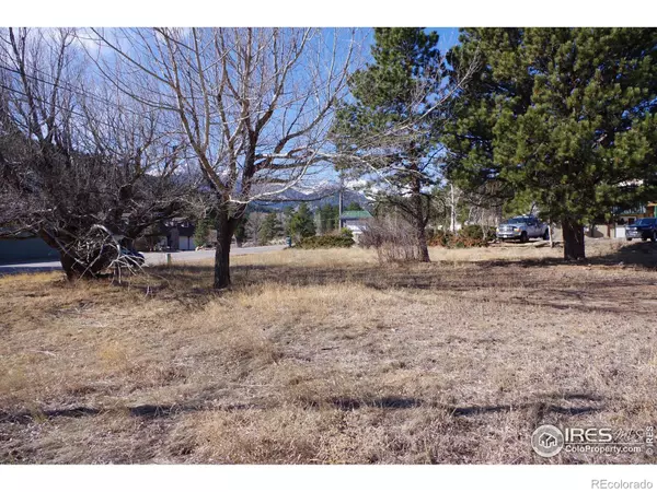 Estes Park, CO 80517,1743 Moraine AVE