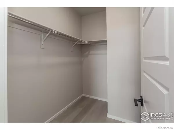 Timnath, CO 80547,6061 Saddle Horn DR