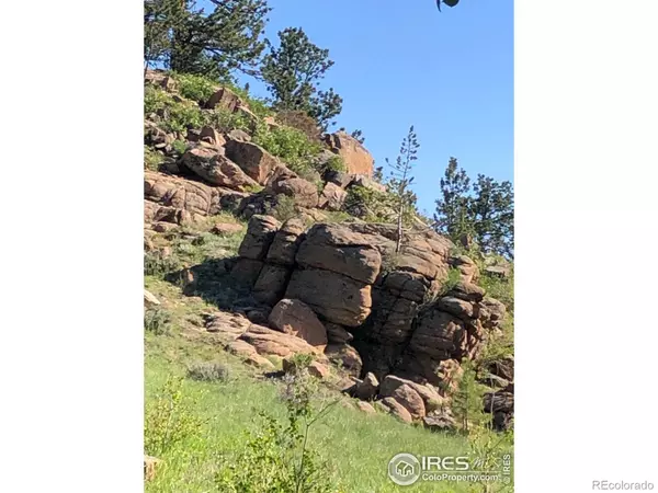 Red Feather Lakes, CO 80545,53 Ada CT