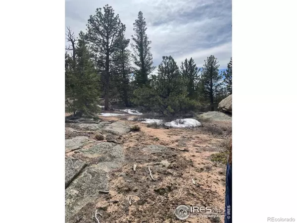 Red Feather Lakes, CO 80545,2684 Fox Acres DR