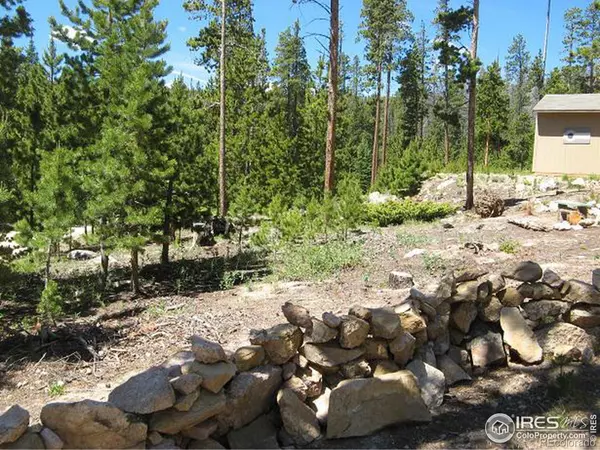 Red Feather Lakes, CO 80545,1244 Mosquito DR