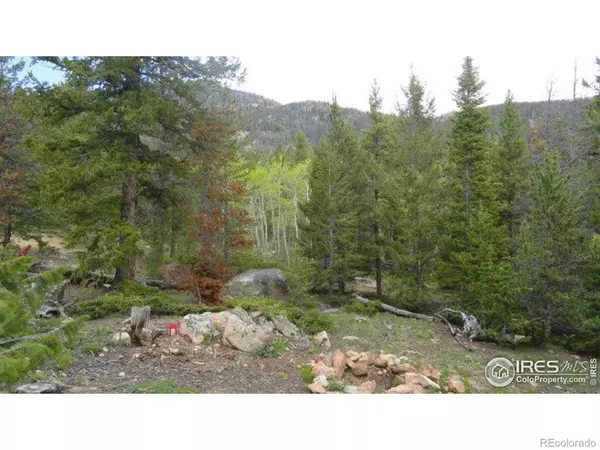 Red Feather Lakes, CO 80545,204 Sutiki DR