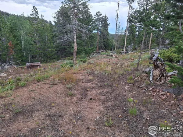 204 Sutiki DR, Red Feather Lakes, CO 80545