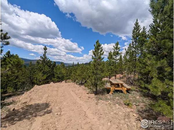 2182 Osage TRL, Red Feather Lakes, CO 80545