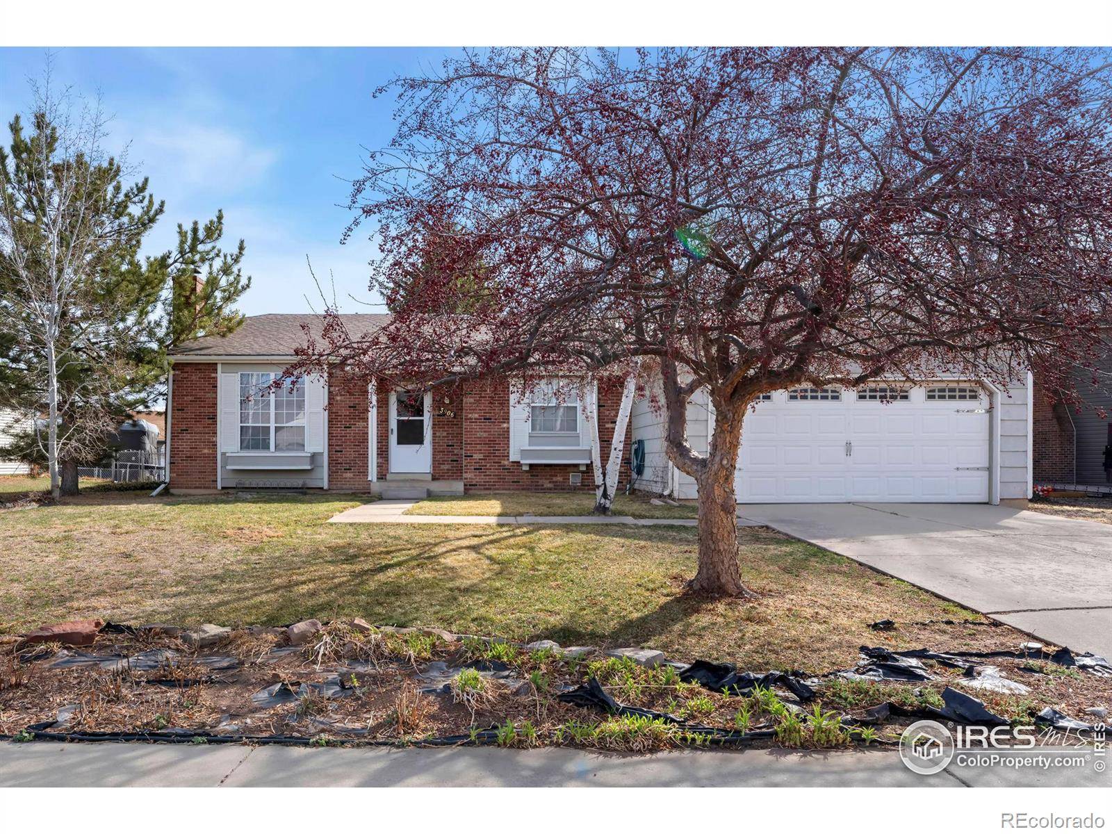 Loveland, CO 80538,3906 Ash AVE