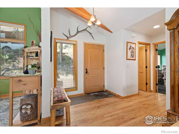 Estes Park, CO 80517,1069 Fall River CT
