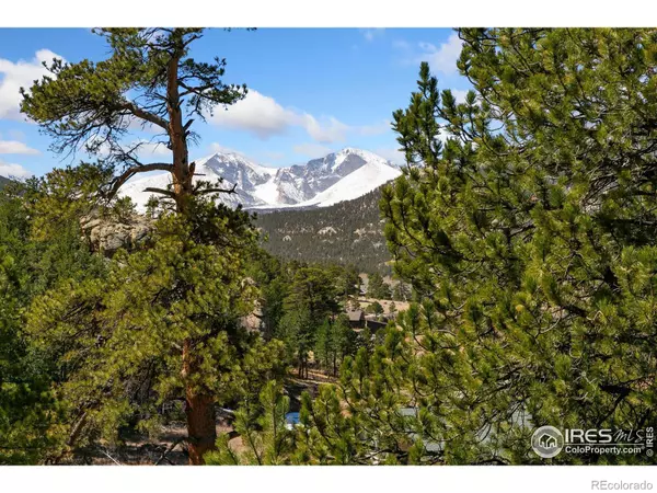 Estes Park, CO 80517,911 Ramshorn DR