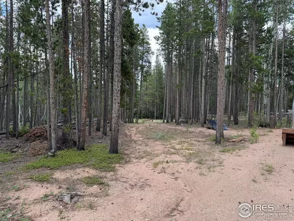 Red Feather Lakes, CO 80545,2581 Shoshoni DR
