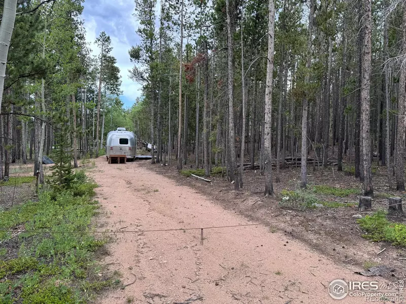 2581 Shoshoni DR, Red Feather Lakes, CO 80545
