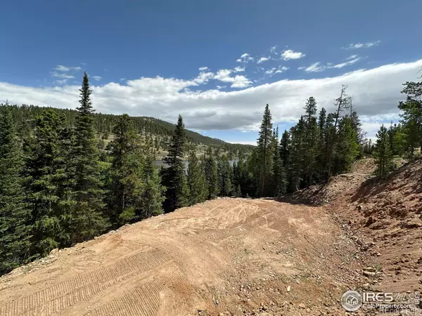 Red Feather Lakes, CO 80545,199 Catawba CT
