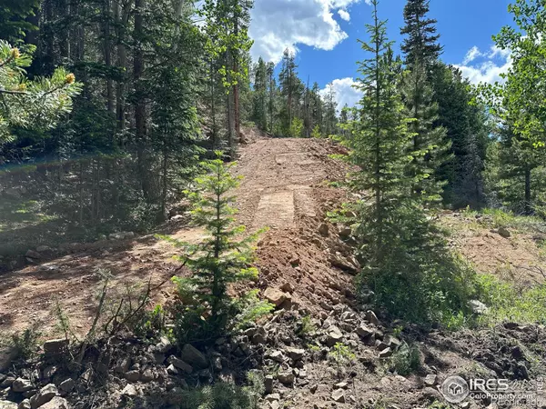 Red Feather Lakes, CO 80545,199 Catawba CT