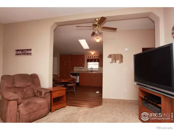 Livermore, CO 80536,31 McKenna CT