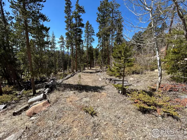 Red Feather Lakes, CO 80545,63 Nambe CT