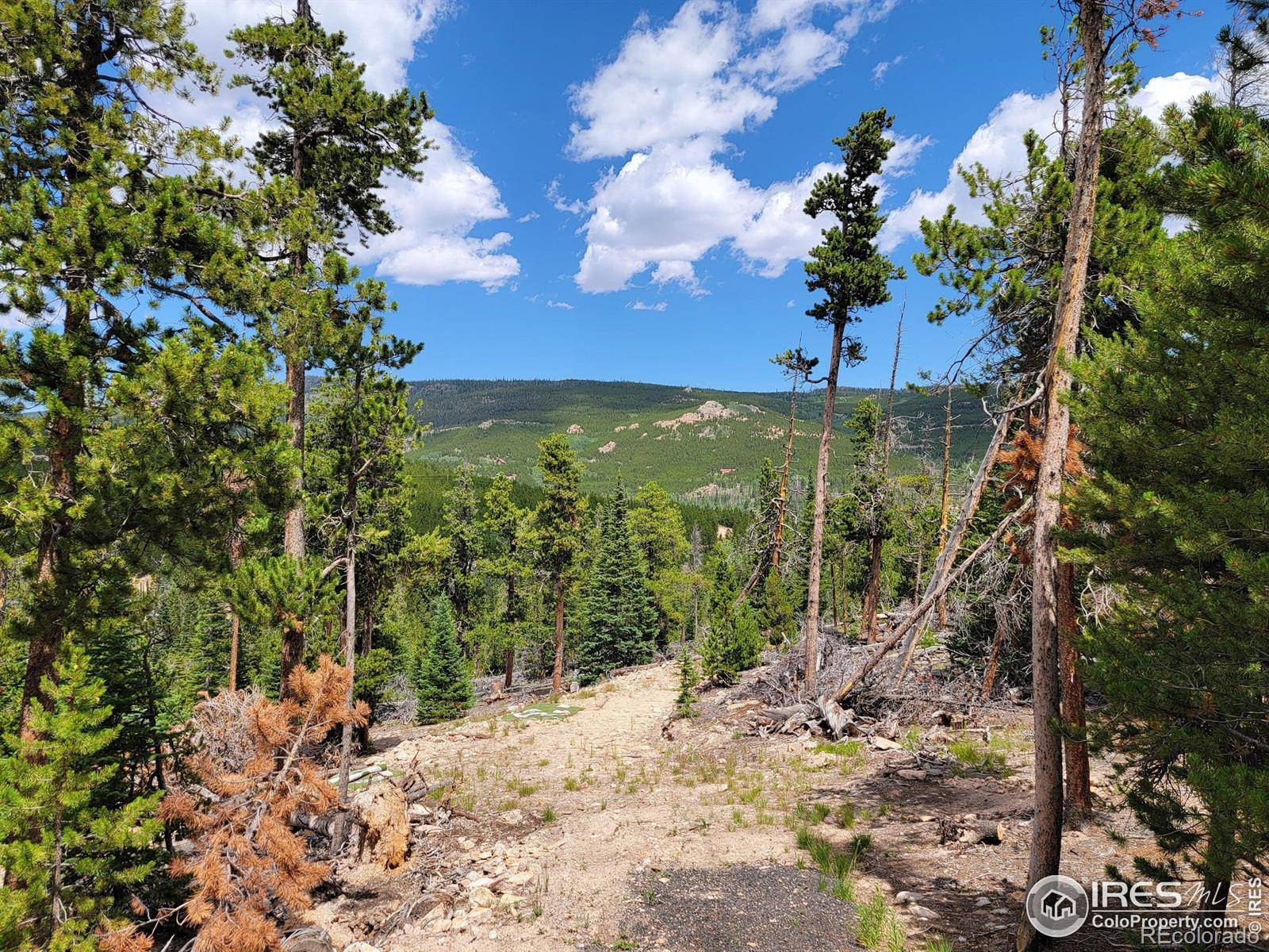 Red Feather Lakes, CO 80545,50 Carrier WAY
