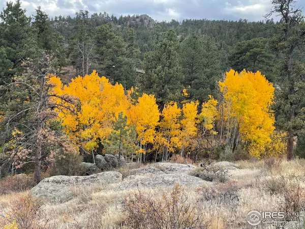 Livermore, CO 80536,6215 Mill Creek RD