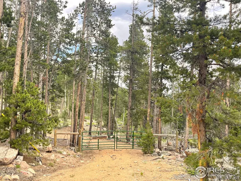 1374 Jicarilla TRL, Red Feather Lakes, CO 80545