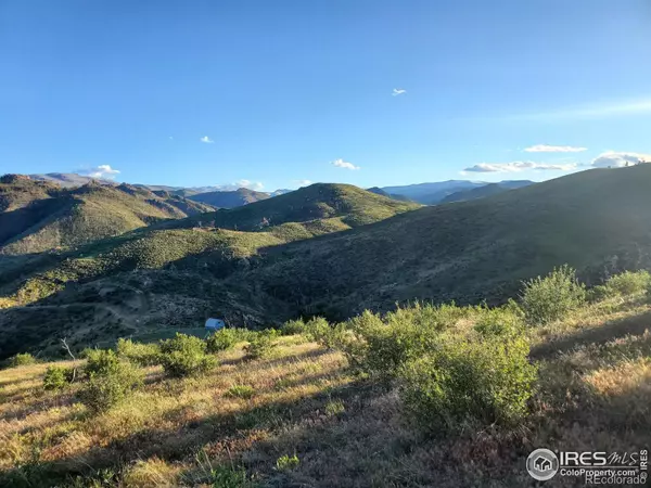 Livermore, CO 80536,232 Red Mountain CT