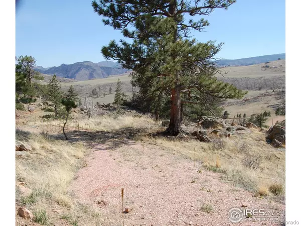 Livermore, CO 80536,324 Le Conte DR