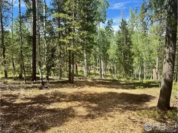 Black Hawk, CO 80422,0 Aspen CIR
