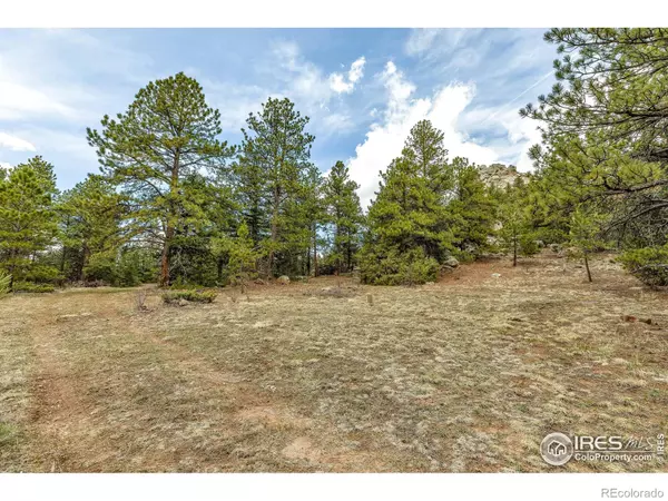 Nederland, CO 80466,1904 County Road 68
