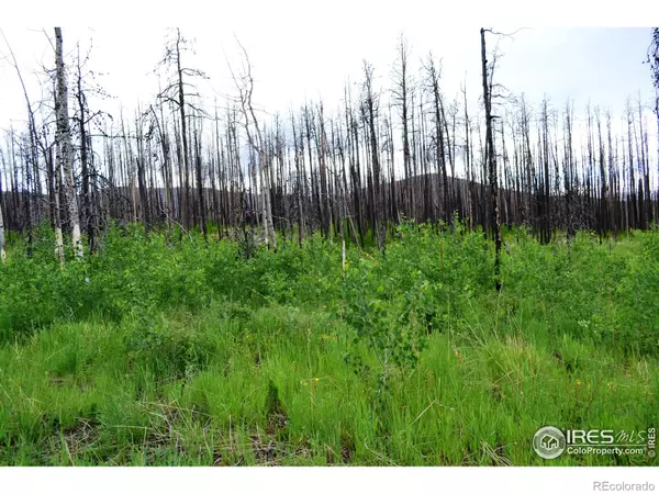 Bellvue, CO 80512,2025 Granite RD