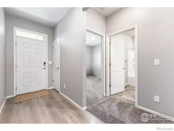 Windsor, CO 80550,1780 Floret DR
