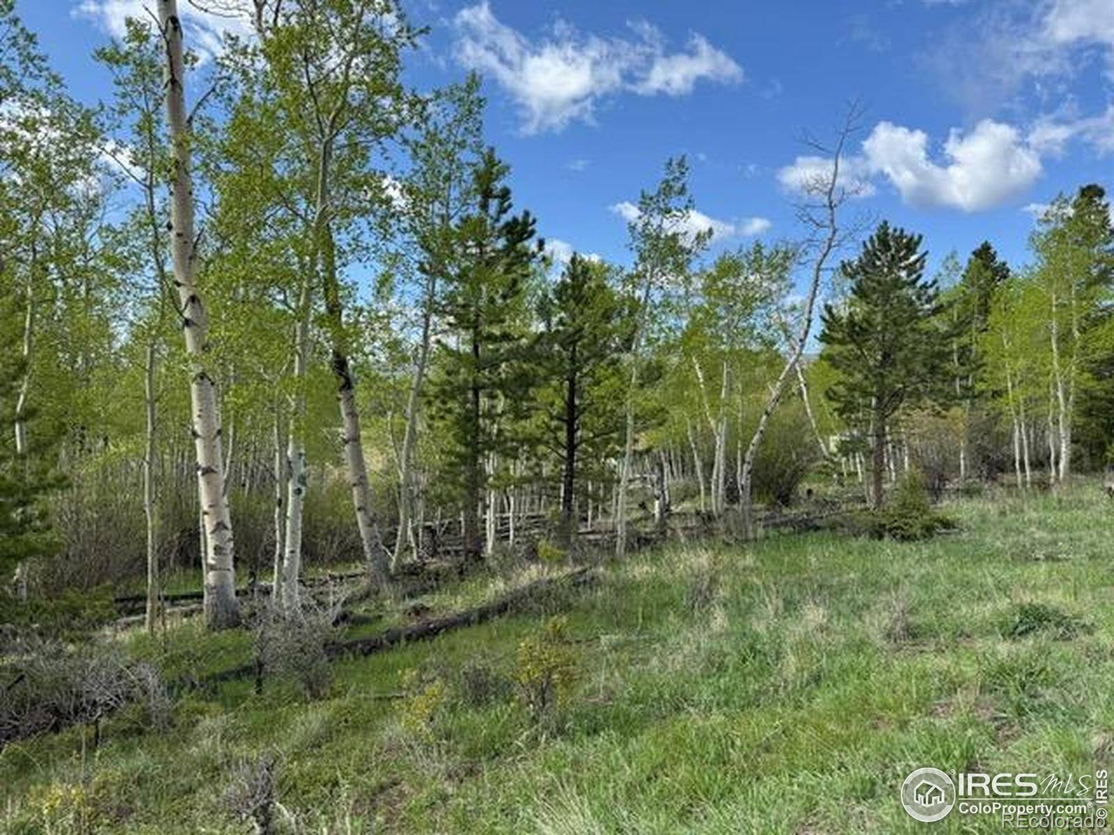 137 Cimarron RD, Red Feather Lakes, CO 80545