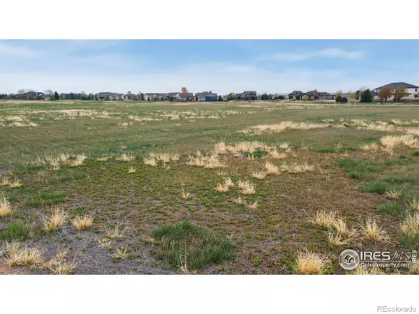 Windsor, CO 80550,679 Madera WAY
