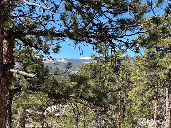 295 Piney Knolls DR, Red Feather Lakes, CO 80545