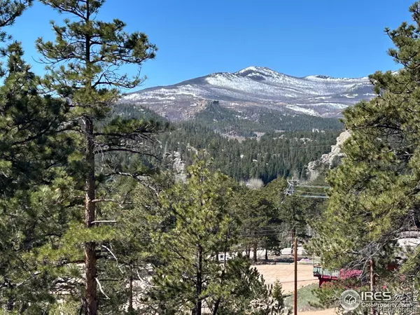 Red Feather Lakes, CO 80545,295 Piney Knolls DR