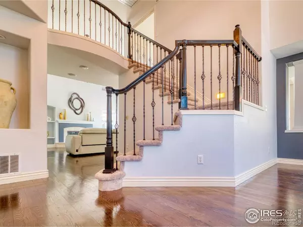 Parker, CO 80134,10583 Oakmoor CIR