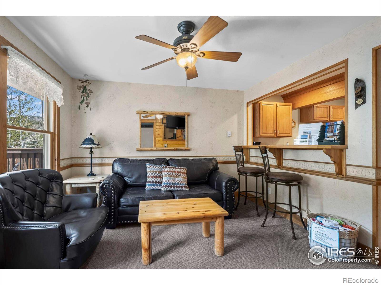Estes Park, CO 80517,2625 Marys Lake RD #201