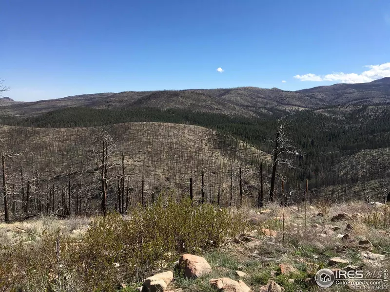 3600 Moondance WAY, Bellvue, CO 80512