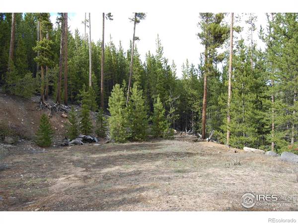 226 Shoshoni DR, Red Feather Lakes, CO 80545