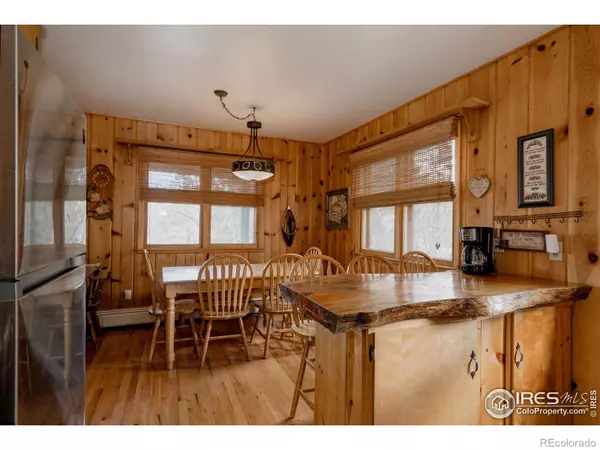 Estes Park, CO 80517,1026 Lexington LN