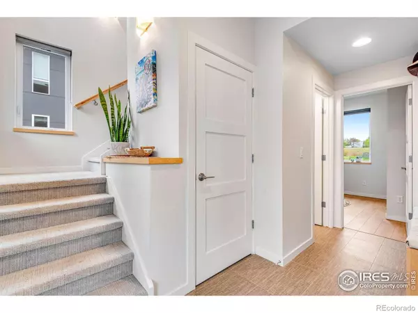 Lafayette, CO 80026,725 Amelia LN