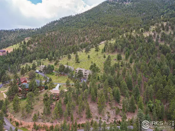 Estes Park, CO 80517,1078 Crestview CT